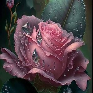 Meet your Posher, Luz